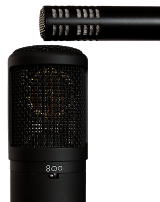 ms-microphone-setup-318px.png